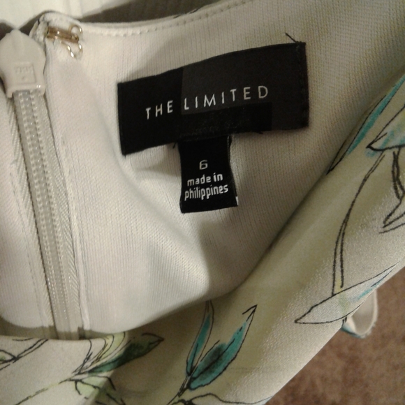 The Limited Bird Print Dress - Picture 4 of 5